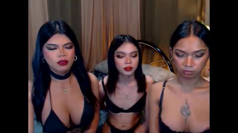 wildara online show from October 22, 2025, 10:59 am