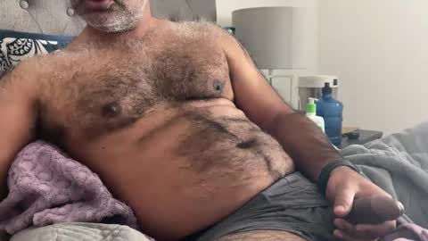 Snapshot of wildhungry chatting on January 3, 2025, 7:29 pm wildhungry online show from January 3, 2025, 7:29 pm