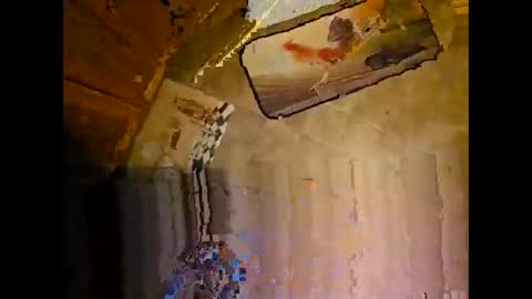 Snapshot of wildman2900 chatting on December 8, 2024, 3:24 pm wildman2900 online show from December 8, 2024, 3:24 pm