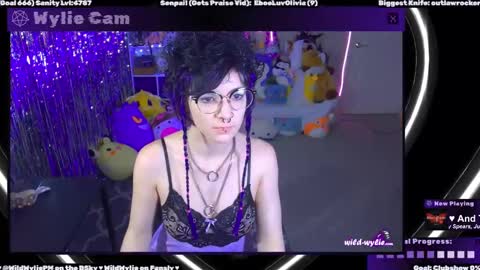 Snapshot of wildwylie chatting on February 4, 2025, 3:22 am Wylie Wanderlust online show from February 4, 2025, 3:22 am