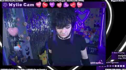 Snapshot of wildwylie chatting on February 28, 2025, 2:53 am Wylie Wanderlust online show from February 28, 2025, 2:53 am