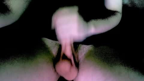 willcox10301 online show from December 13, 2024, 6:05 pm