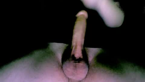 willcox10301 online show from January 12, 2025, 10:12 pm