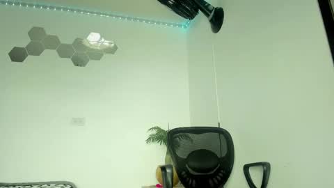 William Parra online show from February 26, 2025, 11:26 pm