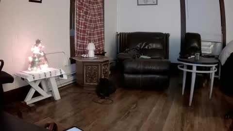 Snapshot of willydogg83 chatting on December 16, 2025, 6:07 am willydogg83 online show from December 16, 2025, 6:07 am