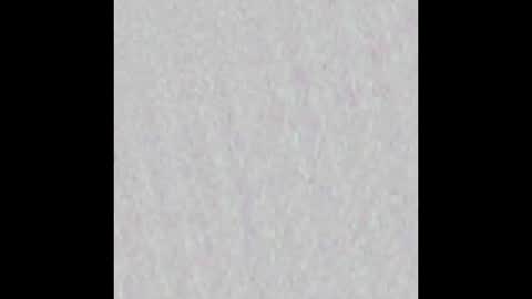 wnhz27 online show from November 25, 2025, 10:37 am