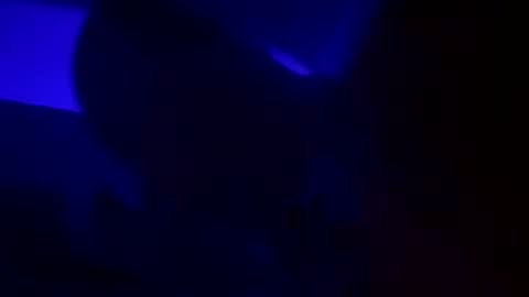 Snapshot of wolf41xxx chatting on December 15, 2024, 5:13 am WolfX online show from December 15, 2024, 5:13 am