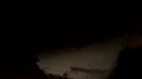 Snapshot of wolf41xxx chatting on November 14, 2025, 2:21 am WolfX online show from November 14, 2025, 2:21 am