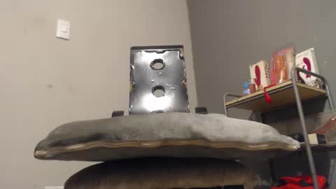 Snapshot of wonderfullight chatting on December 2, 2025, 11:00 pm SHENIEL RODRIGUEZ online show from December 2, 2025, 11:00 pm