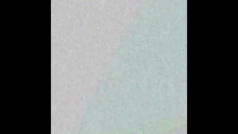 Snapshot of wsteel66 chatting on September 16, 2025, 12:39 pm Wsteel66 online show from September 16, 2025, 12:39 pm