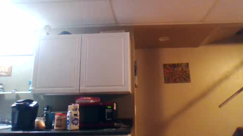 Snapshot of wundrsword33 chatting on January 10, 2025, 11:33 am BONER DONOR online show from January 10, 2025, 11:33 am