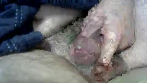 Snapshot of wxherts chatting on March 11, 2025, 6:53 am Charles online show from March 11, 2025, 6:53 am