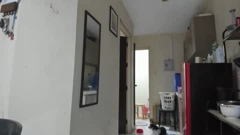 xdreamangel online show from January 27, 2025, 12:58 pm