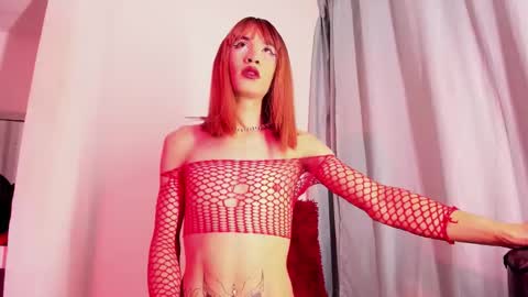 xmistresspervet online show from December 17, 2025, 1:06 pm