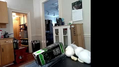 Snapshot of xstay_coldx chatting on February 10, 2025, 6:24 pm Johnny online show from February 10, 2025, 6:24 pm