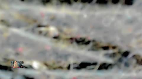 Snapshot of xthesexyboyx chatting on February 16, 2025, 4:53 am Femboy Exotic online show from February 16, 2025, 4:53 am