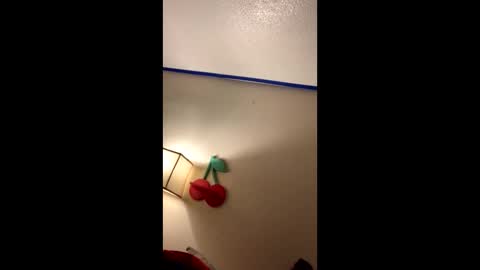 xtika online show from January 19, 2025, 8:18 am