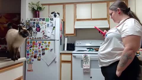 Strawberry Jane online show from December 14, 2024, 5:07 am