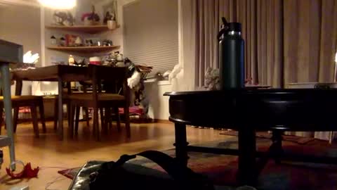 Snapshot of xxtina69x chatting on December 2, 2024, 3:37 am yayalala online show from December 2, 2024, 3:37 am