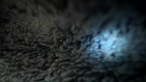 Snapshot of xxxdanidoomsdayxxx chatting on January 5, 2025, 5:51 pm Danielle online show from January 5, 2025, 5:51 pm