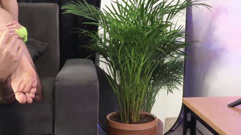 July and Fer online show from February 4, 2025, 8:49 pm