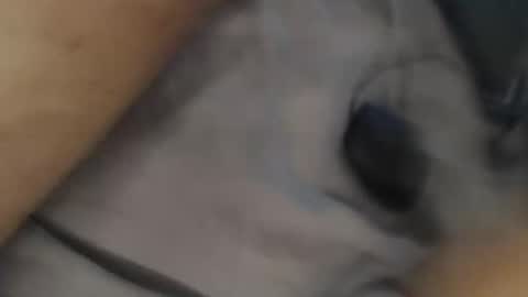 Snapshot of yallayalla1806 chatting on November 18, 2025, 2:17 am yallayalla1806 online show from November 18, 2025, 2:17 am