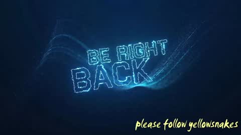 Snapshot of yellowsnakes chatting on November 24, 2025, 10:42 pm . y e l l o w s n a k e s . online show from November 24, 2025, 10:42 pm
