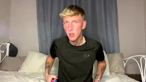 Snapshot of yorkshirelad208 chatting on February 4, 2025, 8:17 pm Harrison online show from February 4, 2025, 8:17 pm