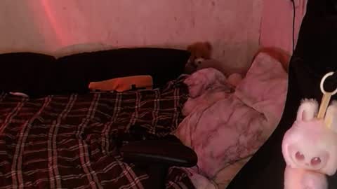 your_8a8y online show from November 18, 2025, 4:33 pm