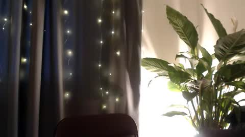 YourDalia online show from November 13, 2025, 12:26 pm