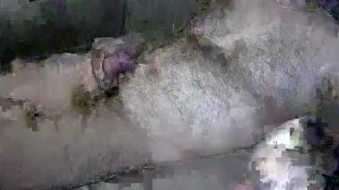 Snapshot of zepincam chatting on October 13, 2025, 5:18 am zepincam online show from October 13, 2025, 5:18 am