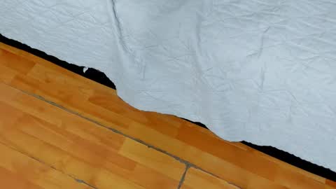 Snapshot of ziamiller chatting on January 27, 2025, 10:49 am zia online show from January 27, 2025, 10:49 am