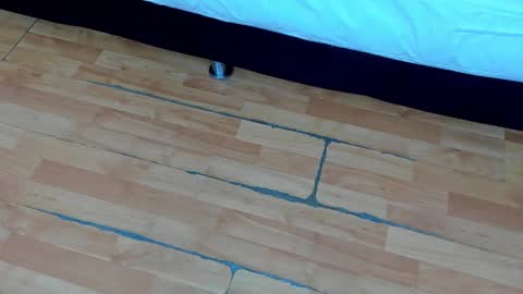 Snapshot of ziamiller chatting on February 21, 2025, 12:17 pm zia online show from February 21, 2025, 12:17 pm