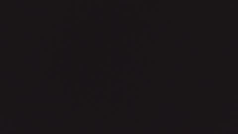 ZURY   online show from October 22, 2025, 11:32 am