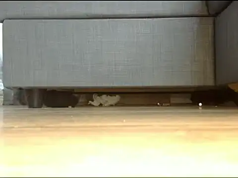 Snapshot of Squirtlady38 chatting on February 13, 2025, 1:26 pm Squirtlady38 online show from February 13, 2025, 1:26 pm