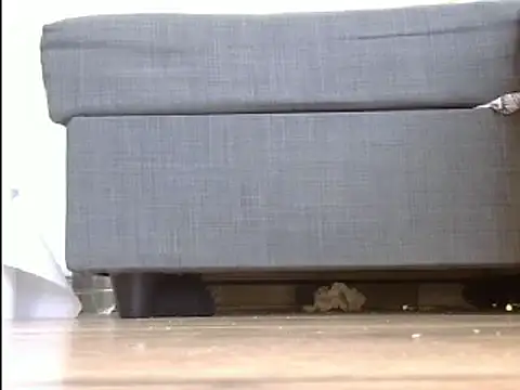 Snapshot of Squirtlady38 chatting on March 20, 2025, 10:54 am Squirtlady38 online show from March 20, 2025, 10:54 am