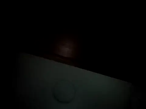 Snapshot of Linda_Gregory chatting on February 16, 2025, 4:31 am Linda Gregory online show from February 16, 2025, 4:31 am