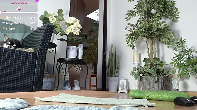 Snapshot of Squirtmania chatting on January 1, 2025, 7:20 am Squirtmania online show from January 1, 2025, 7:20 am