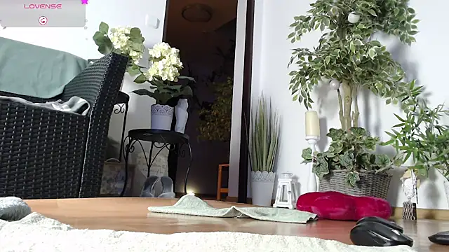 Snapshot of Squirtmania chatting on February 2, 2025, 5:53 am Squirtmania online show from February 2, 2025, 5:53 am