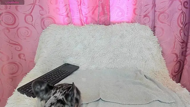 iisabella gonzalez online show from September 13, 2025, 8:08 pm