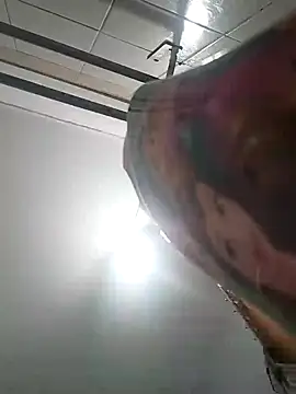 Snapshot of bruna_safadinhaa chatting on December 2, 2024, 11:34 am bruna safadinhaa online show from December 2, 2024, 11:34 am