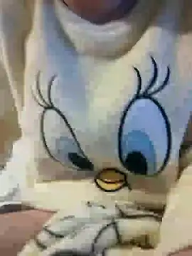 Snapshot of bruna_safadinhaa chatting on December 30, 2024, 8:04 pm bruna safadinhaa online show from December 30, 2024, 8:04 pm