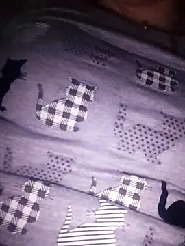 Snapshot of bruna_safadinhaa chatting on February 17, 2025, 9:56 am bruna safadinhaa online show from February 17, 2025, 9:56 am