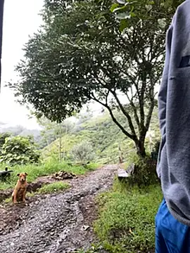 vergasgrandes online show from January 5, 2025, 9:14 pm