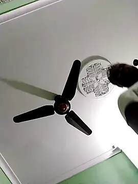 Snapshot of Niladri1410 chatting on February 13, 2025, 6:59 pm Niladri1410 online show from February 13, 2025, 6:59 pm