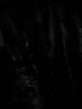 demonslayerr999 online show from December 23, 2024, 6:33 am