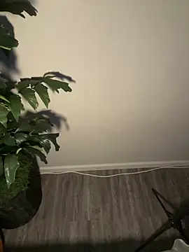 demonslayerr999 online show from March 11, 2025, 4:32 am