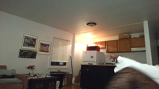 Snapshot of SiminFox chatting on November 27, 2025, 4:03 am SiminFox online show from November 27, 2025, 4:03 am