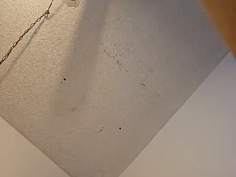 Snapshot of anyway2cum chatting on January 19, 2025, 2:59 pm anyway2cum online show from January 19, 2025, 2:59 pm