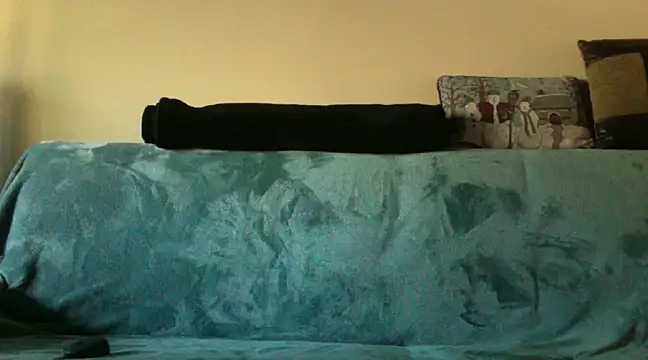 Snapshot of spicylaboi chatting on December 7, 2024, 4:03 pm spicylaboi online show from December 7, 2024, 4:03 pm